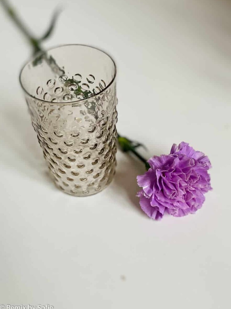 anna von lipa hedgehog glass, anna von lipa, anna von lipa hedgehog glass, hedgehog glass, water glass, drinking glass, glass in hedgehog glass, anna von lipa hedgehog glass, hedgehog glass, water glass, drinking glass, glass of hedgehog glass