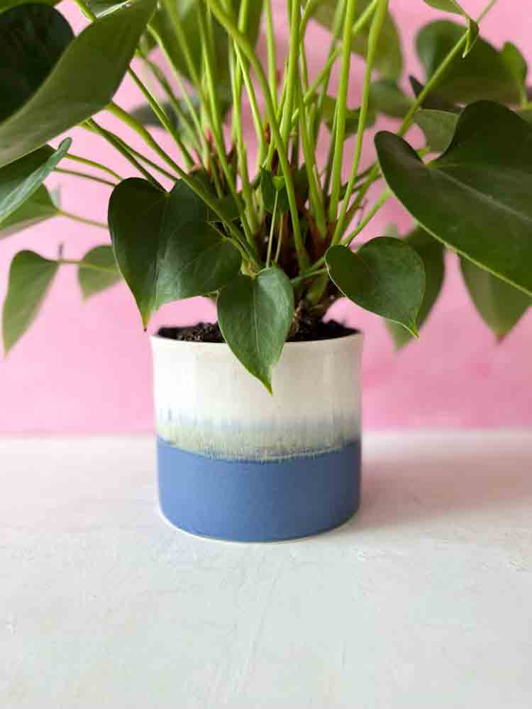 from glassblower and ceramicist Lena Pedersen