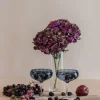 Champagne bowl, champagne glass, meadow spectrum, champagne glass, champagne bowl, champagne glasses, remix by sofie, party glasses, champagne bowls.