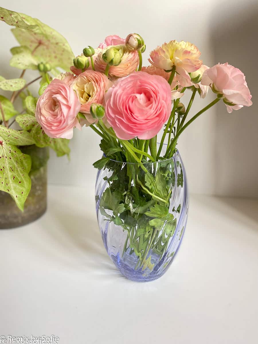 Anna von Lipa, flowers vase, vase, flower vases, ellipse, twistes glass, swirl vase, swirl,