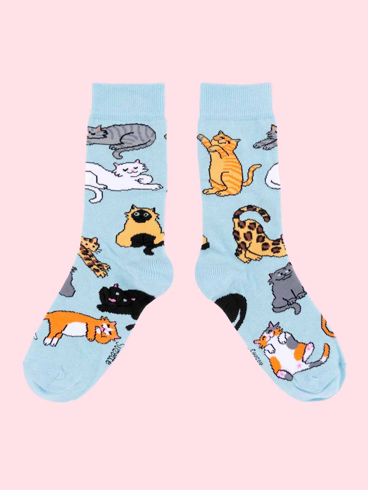 cotton socks in light blue with cats - Coucou Suzette