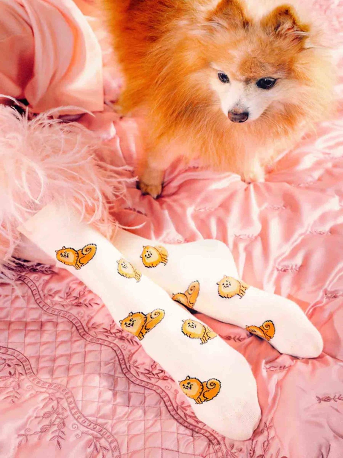 Cou Cou Suzette Dogs