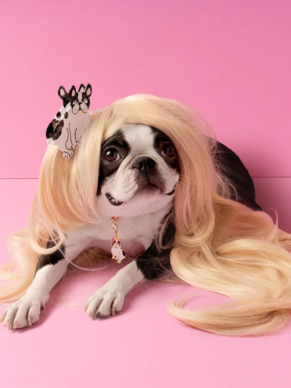 hair clip with dogs, hair clip with bulldog from cou cou suzette