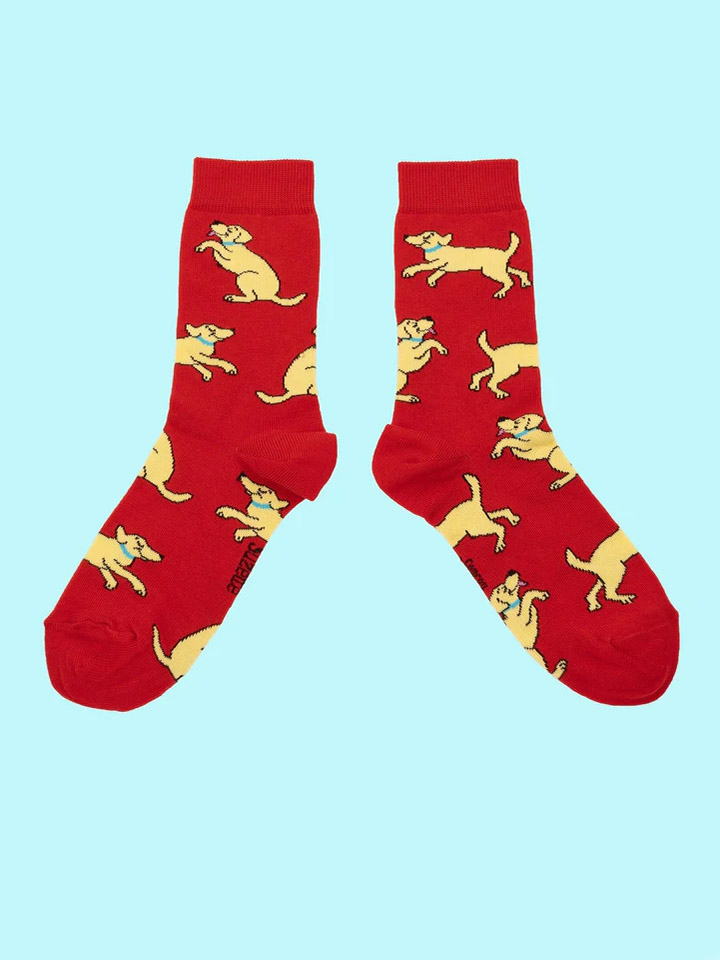red and yellow labrador, stockings with dogs, remix by sofie, cou cou suzette, stockings, stockings in cotton, Italian cotton, stockings produced in cotton,