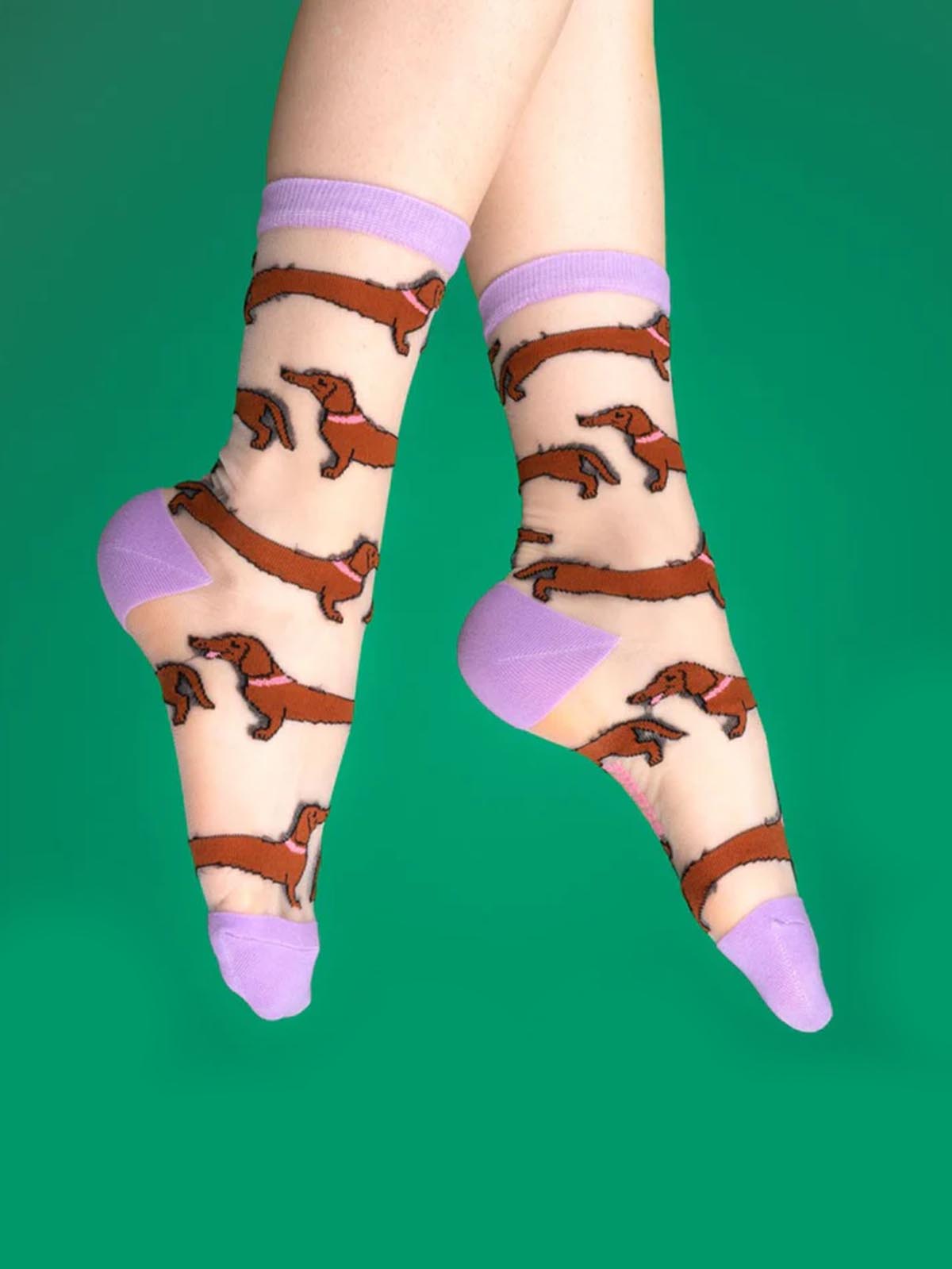 cou cou suzette transparent with dachshunds and purple