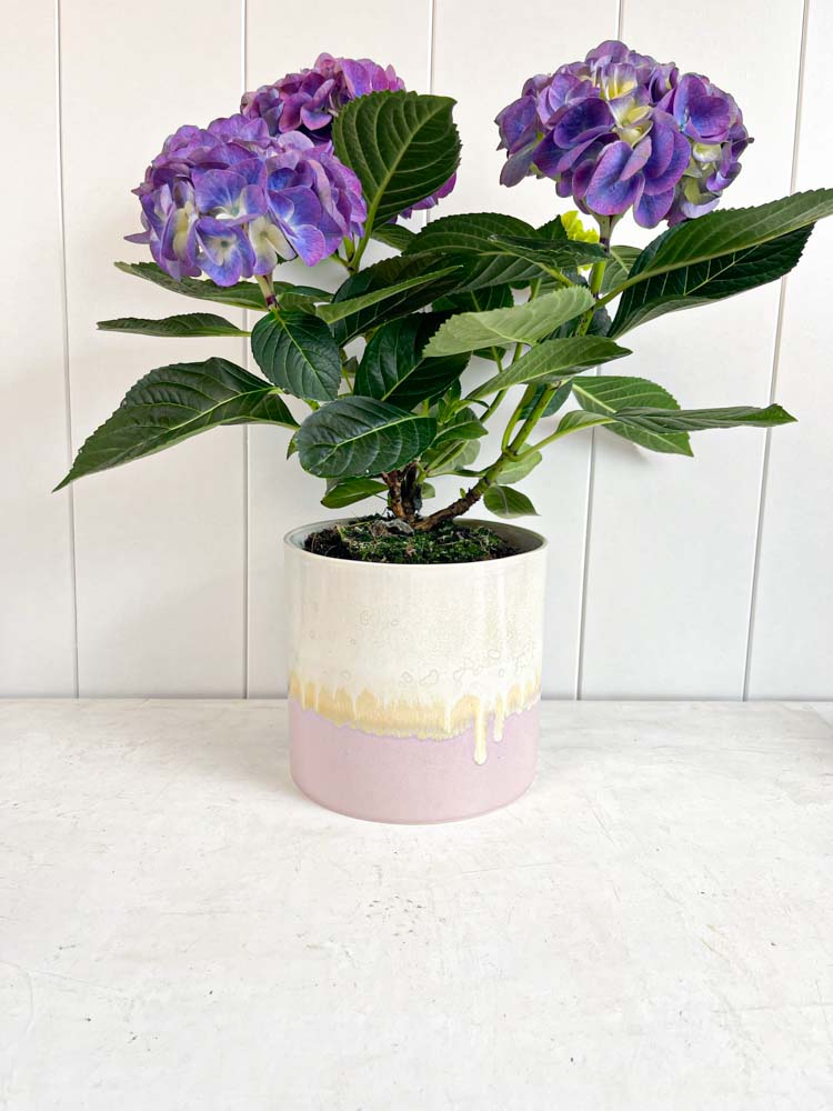 lena pedersen ceramic flower pots in pastels