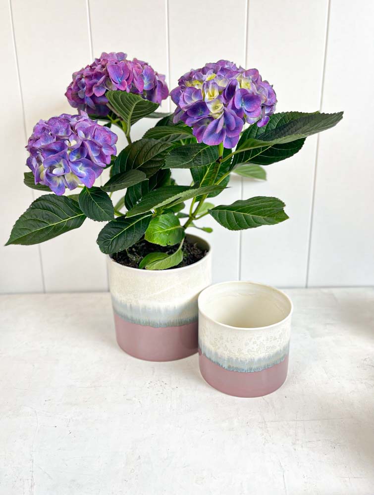 lena pedersen ceramic flower pots in pastels