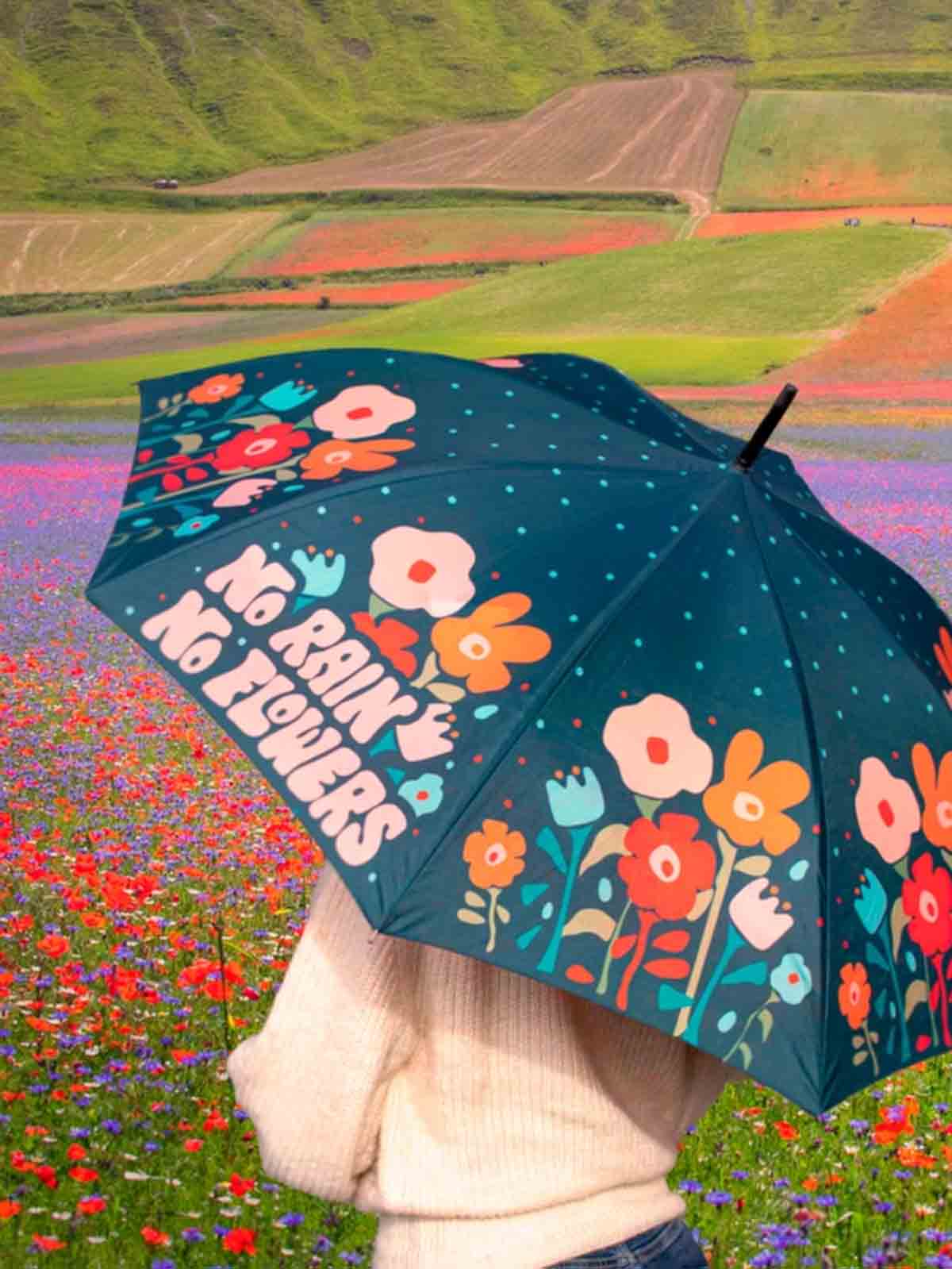 cardboard dark blue with flowers no rain - no flowers