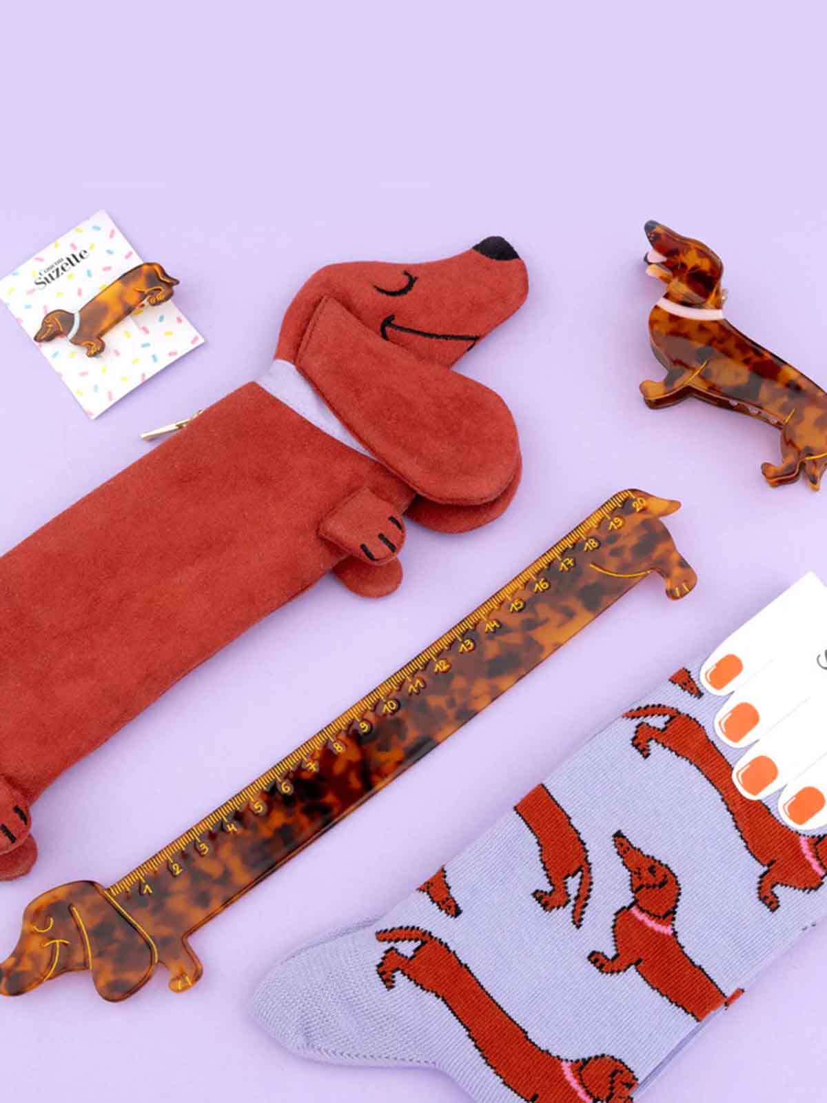 Penal house dachshund from cou cou suzette