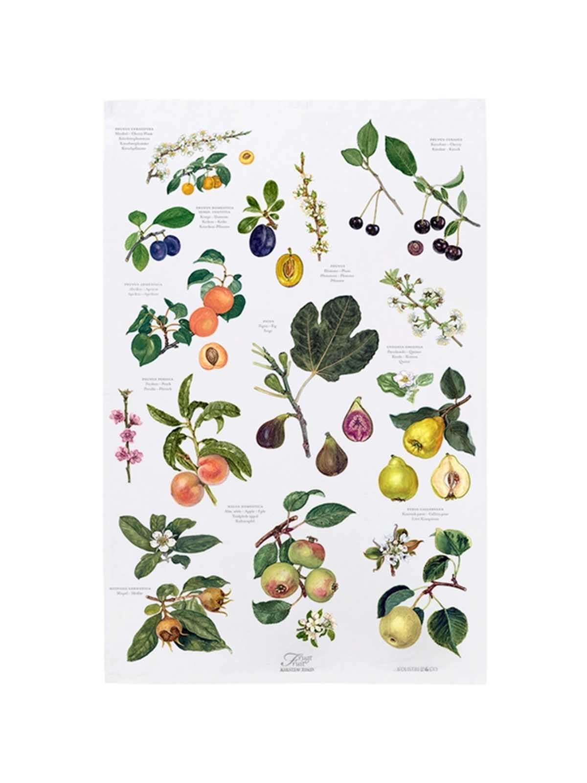 koustrup and co tea towel in 100% organic cotton with fruit
