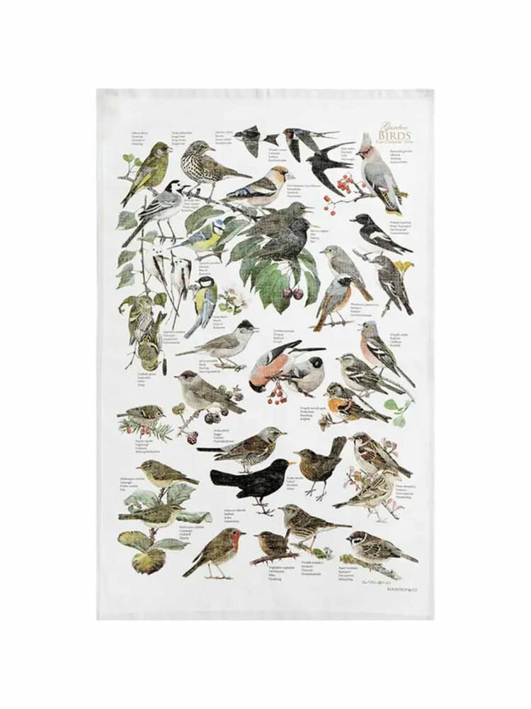 koustrup and co tea towel in 100% organic cotton with birds from