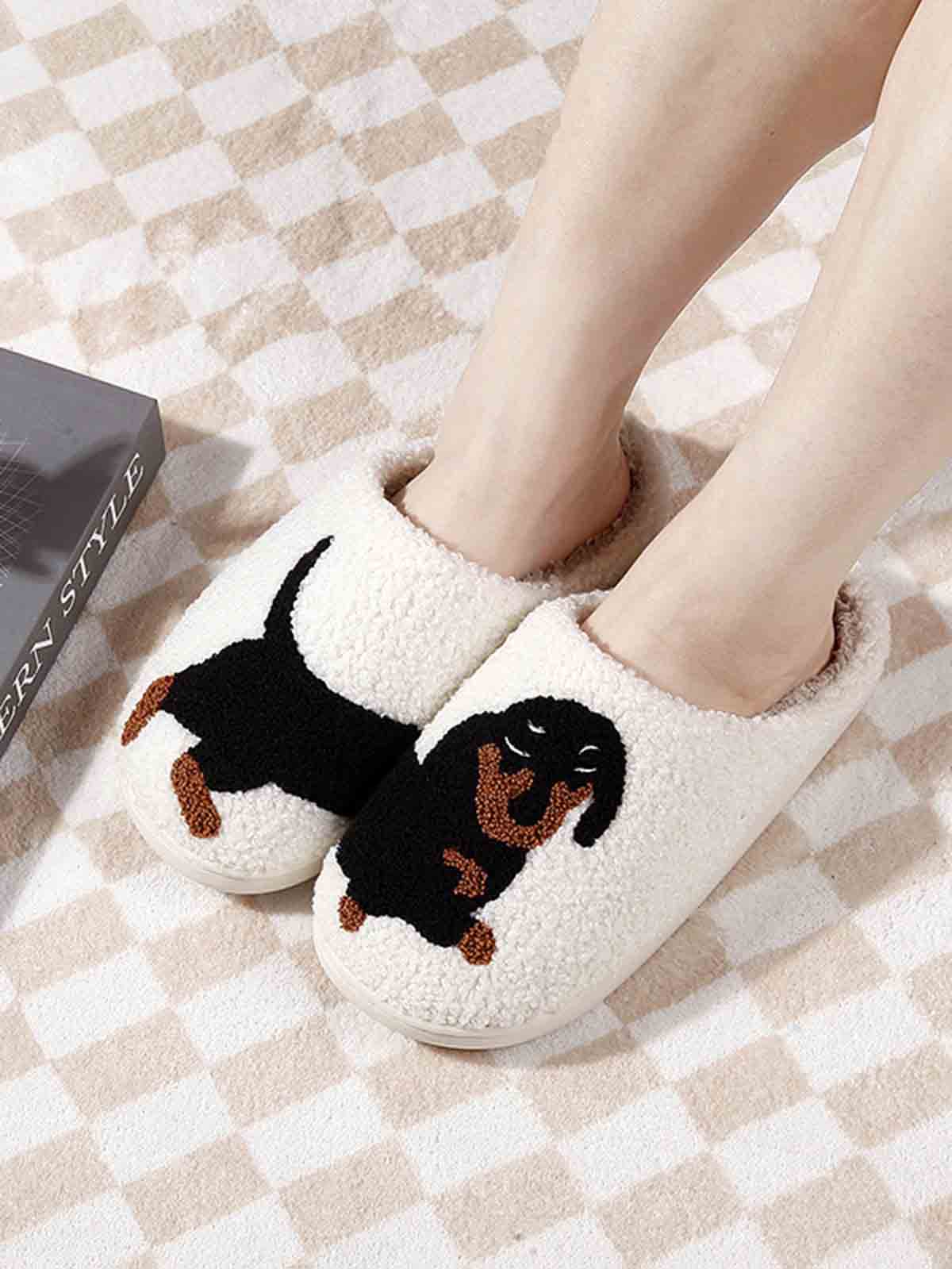 Shoe shoes dachshund