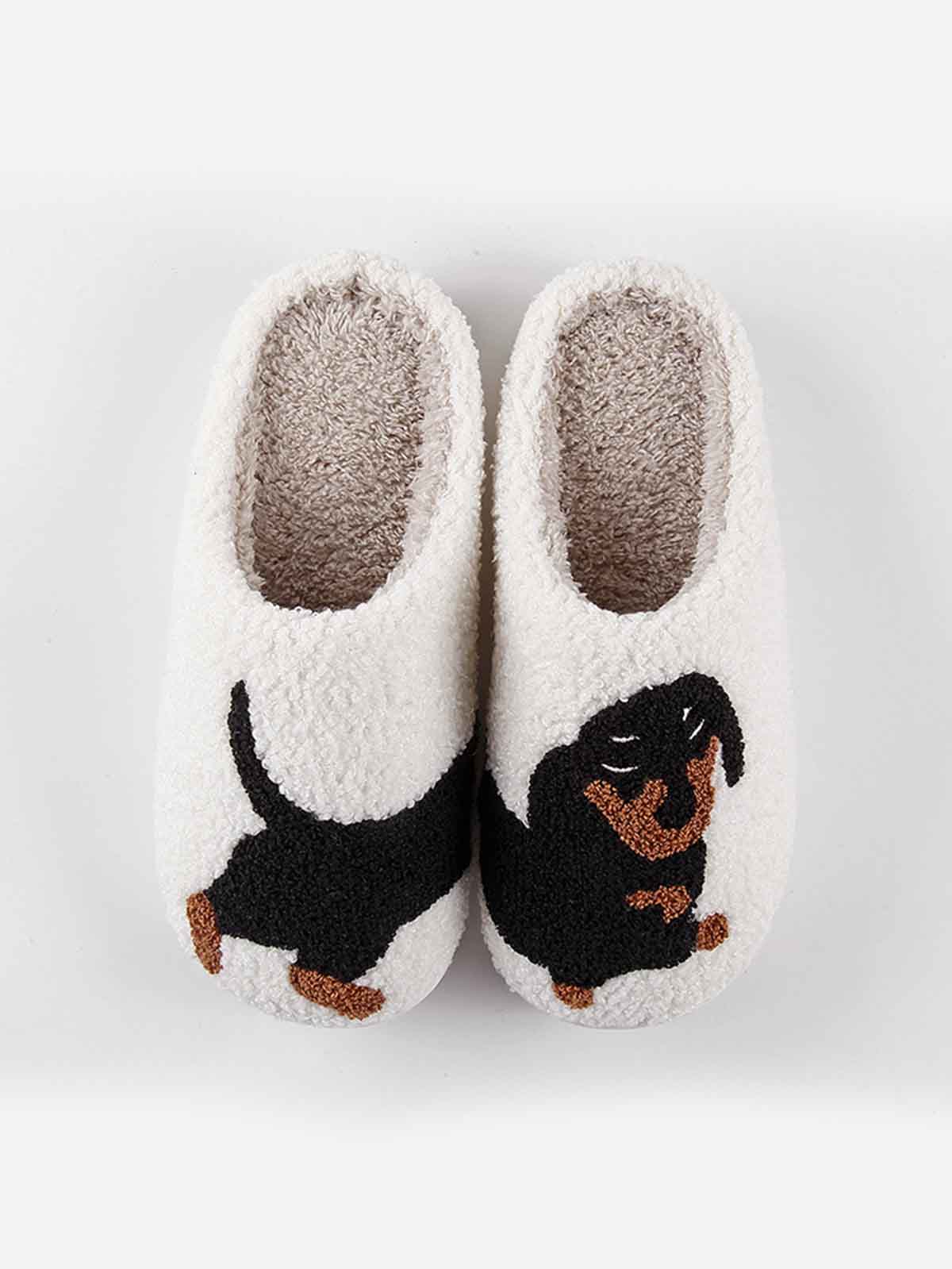 Shoe shoes dachshund