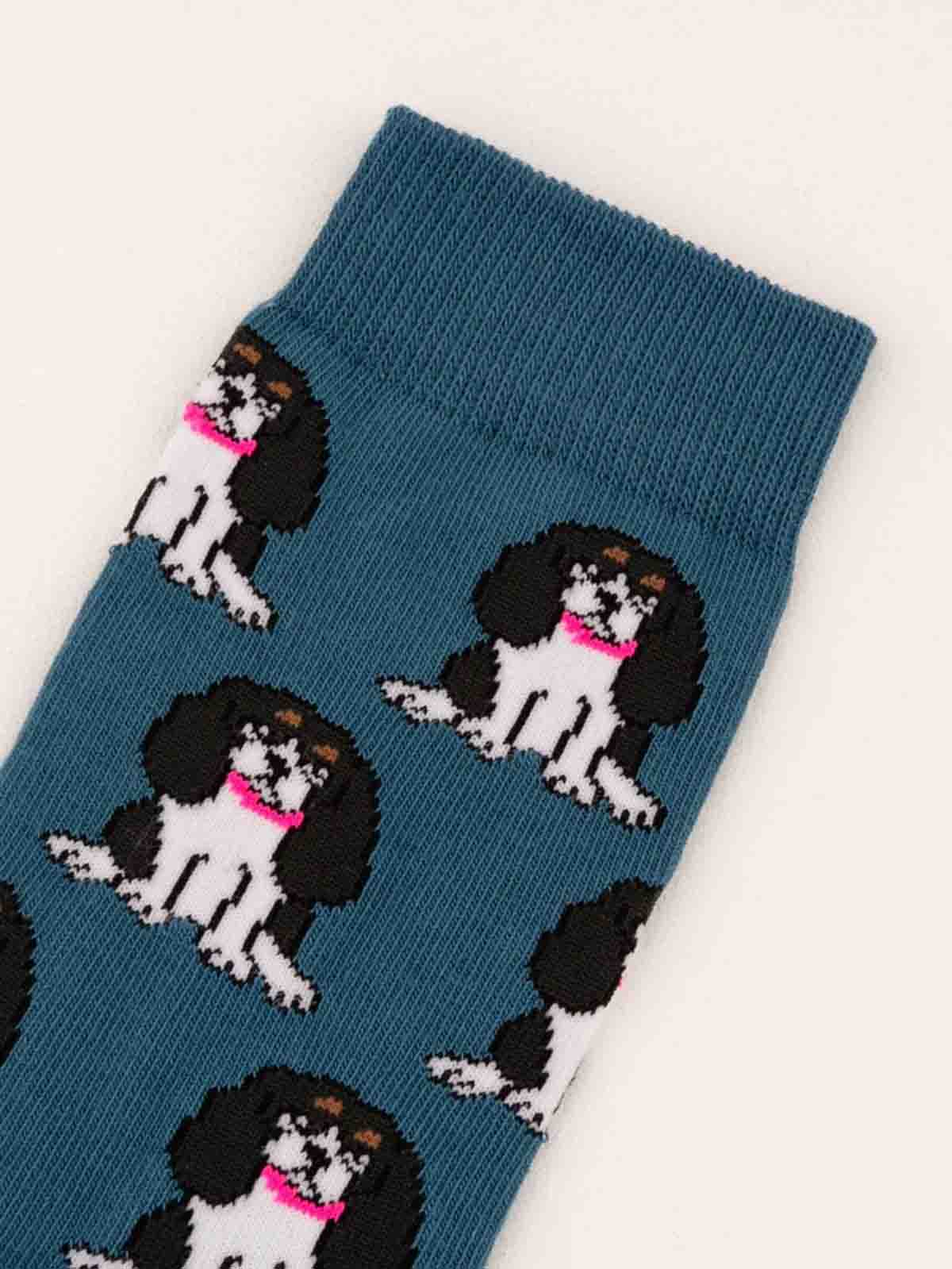 Cou Cou Cou Suzette stockings Cavalier in petrolium