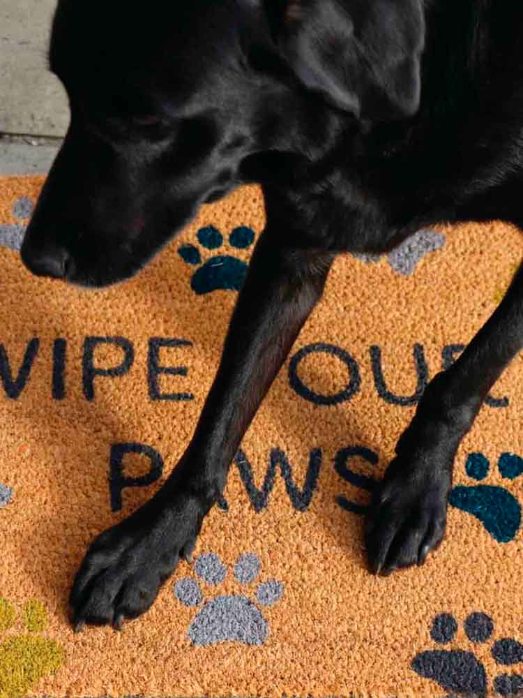 remix by Sophie doormat in coconut fiber & quot;wipe your paws" with dog paws
