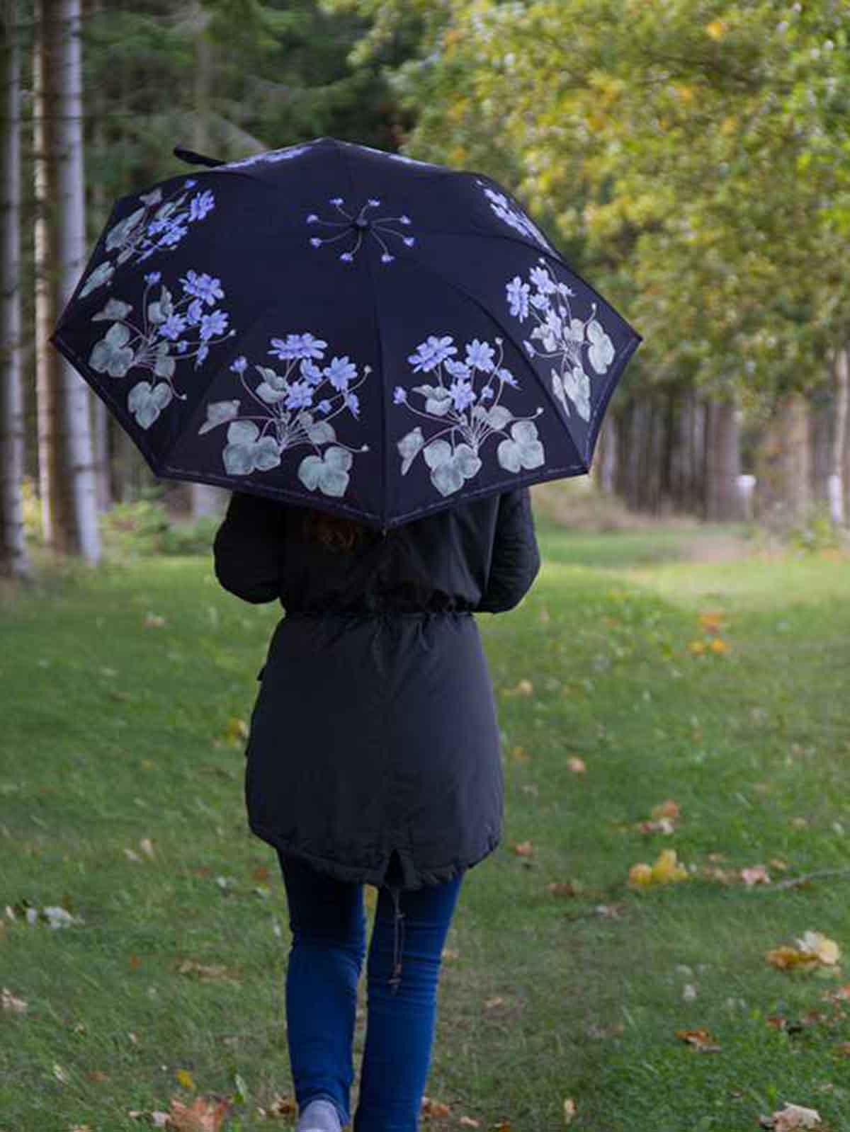 Koustrup and co umbrella blue anemones