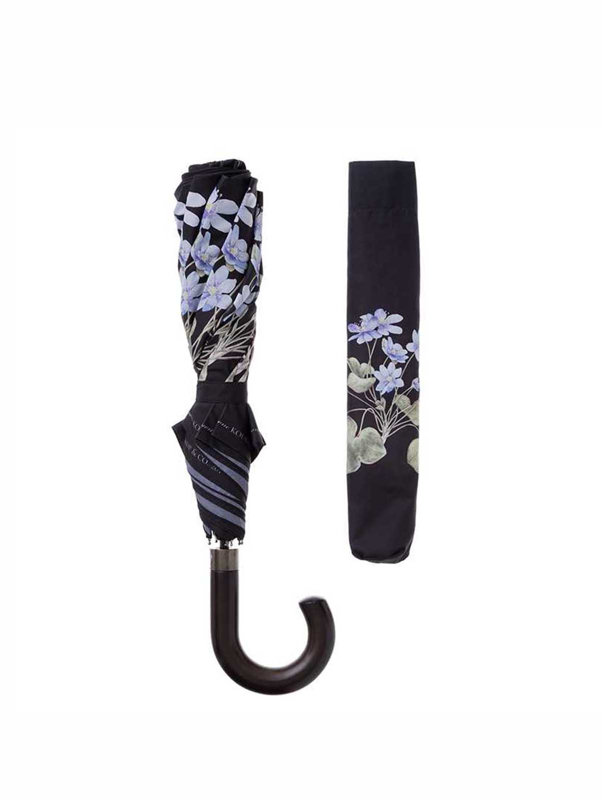 Koustrup and co umbrella blue anemones