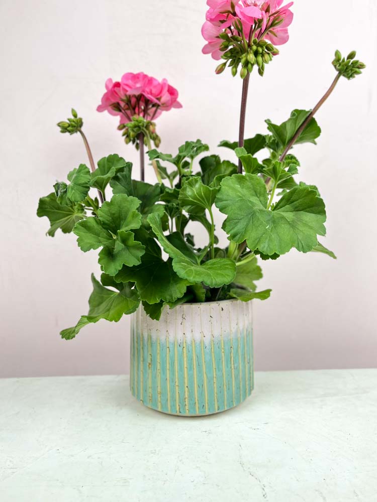 trine lise ceramic flowerpot pink and mint