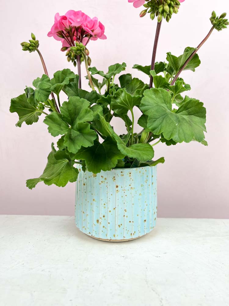 Trine Lisa ceramic flowerpot pink and mint (4)_web