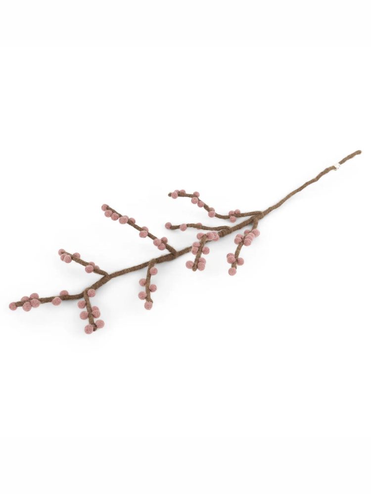 14134 branch brach rouge berries