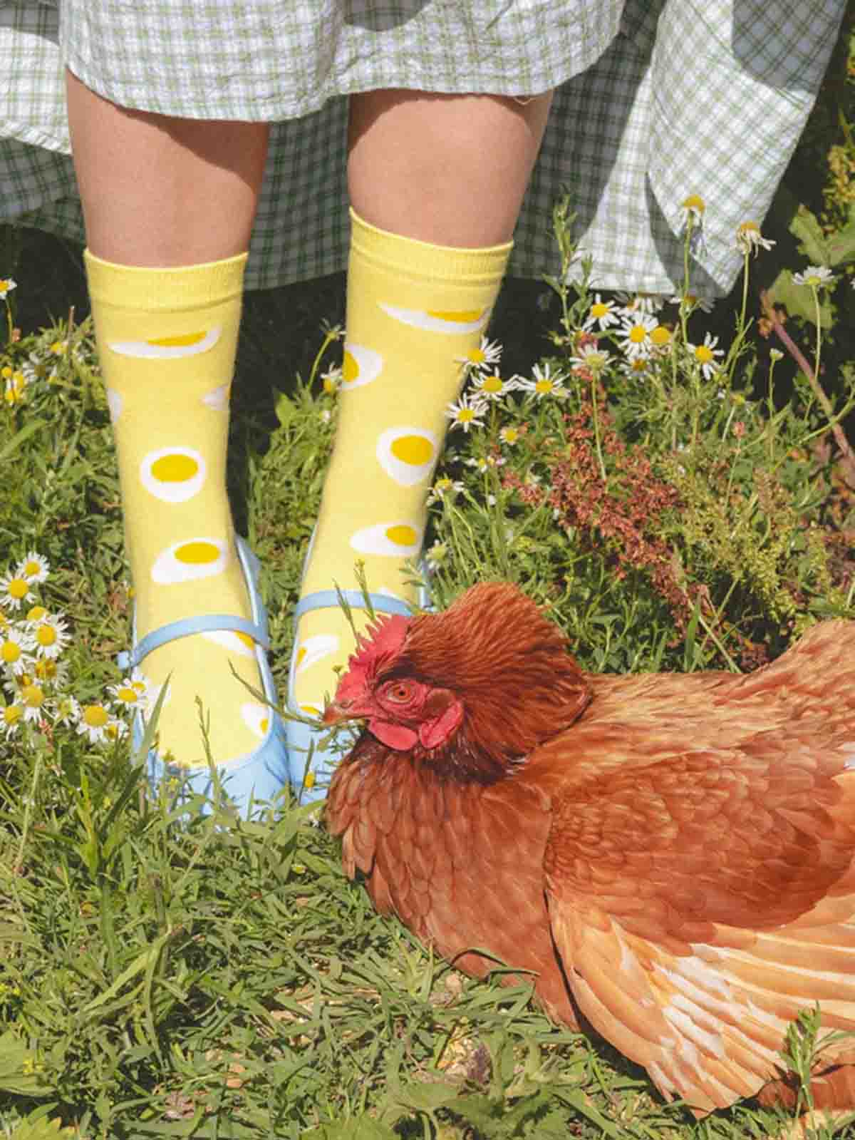 cou cou suzette socks light yellow with mirror eggs