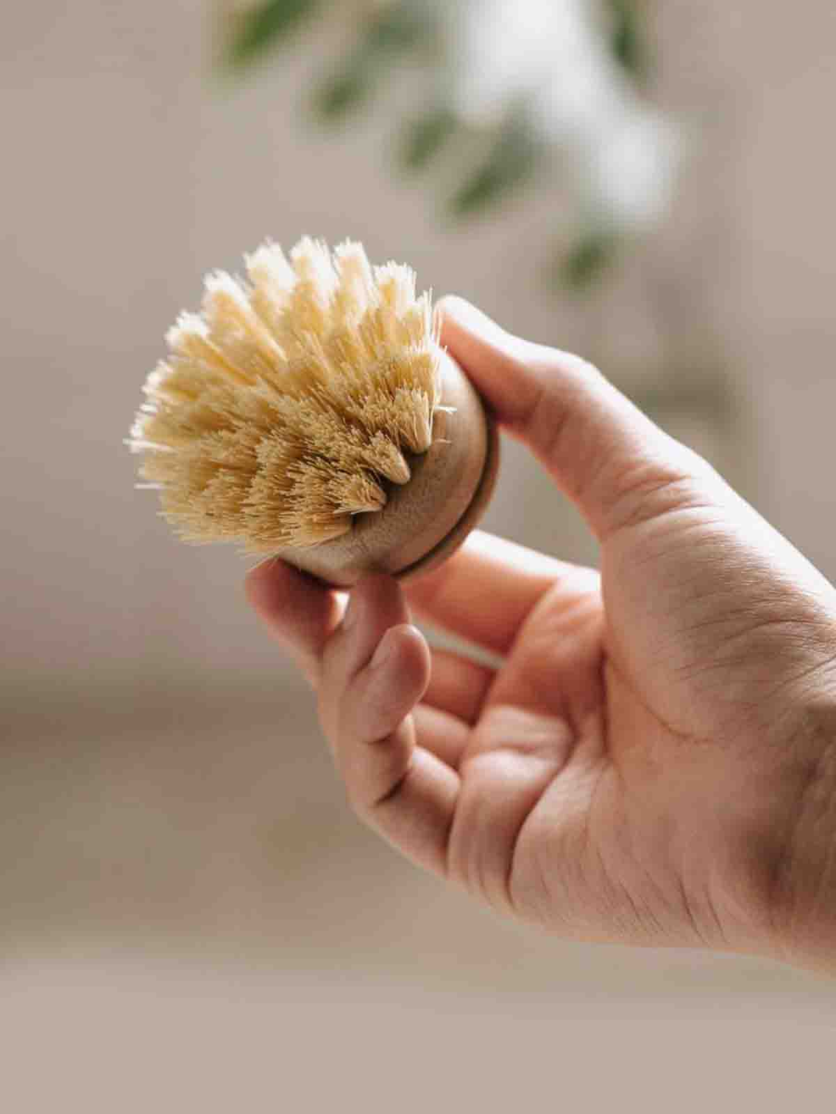 Alternative view of Bamboo dishwasher brush head - soft brush