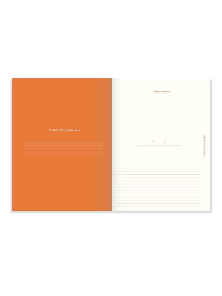 a jornal notebooks, wedding journal, pregnancy diary