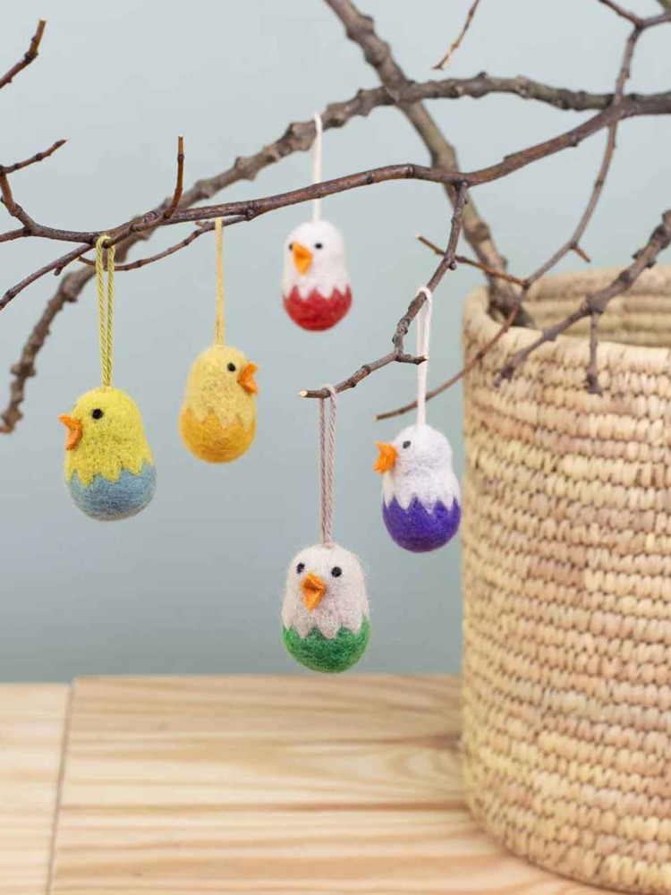 Afro species 5 chickens in eggshells