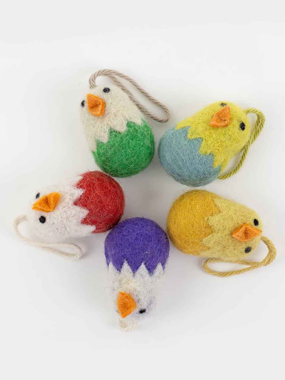 Afro species 5 chickens in eggshells