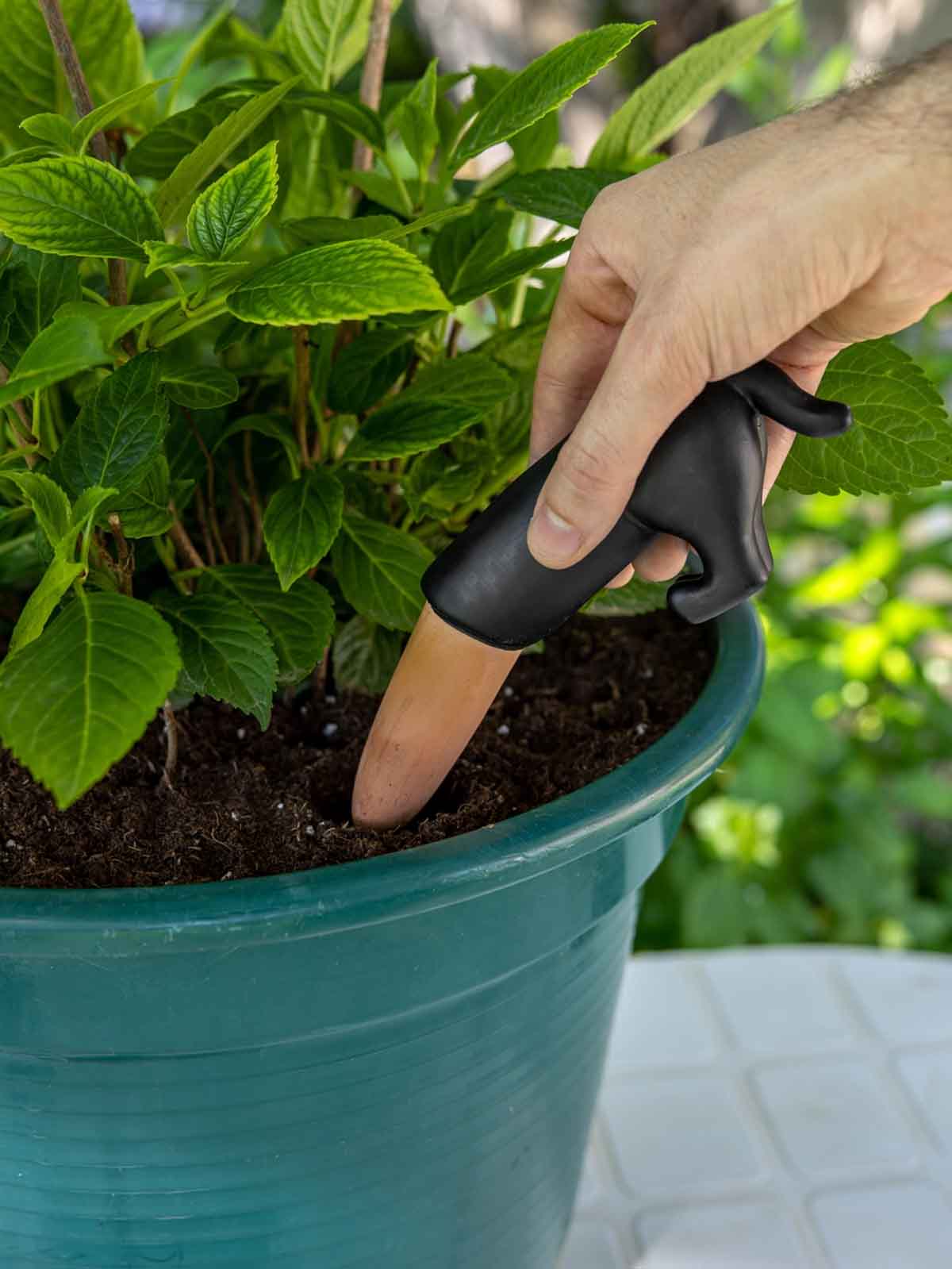 Self watering kit for your plants - Black dog