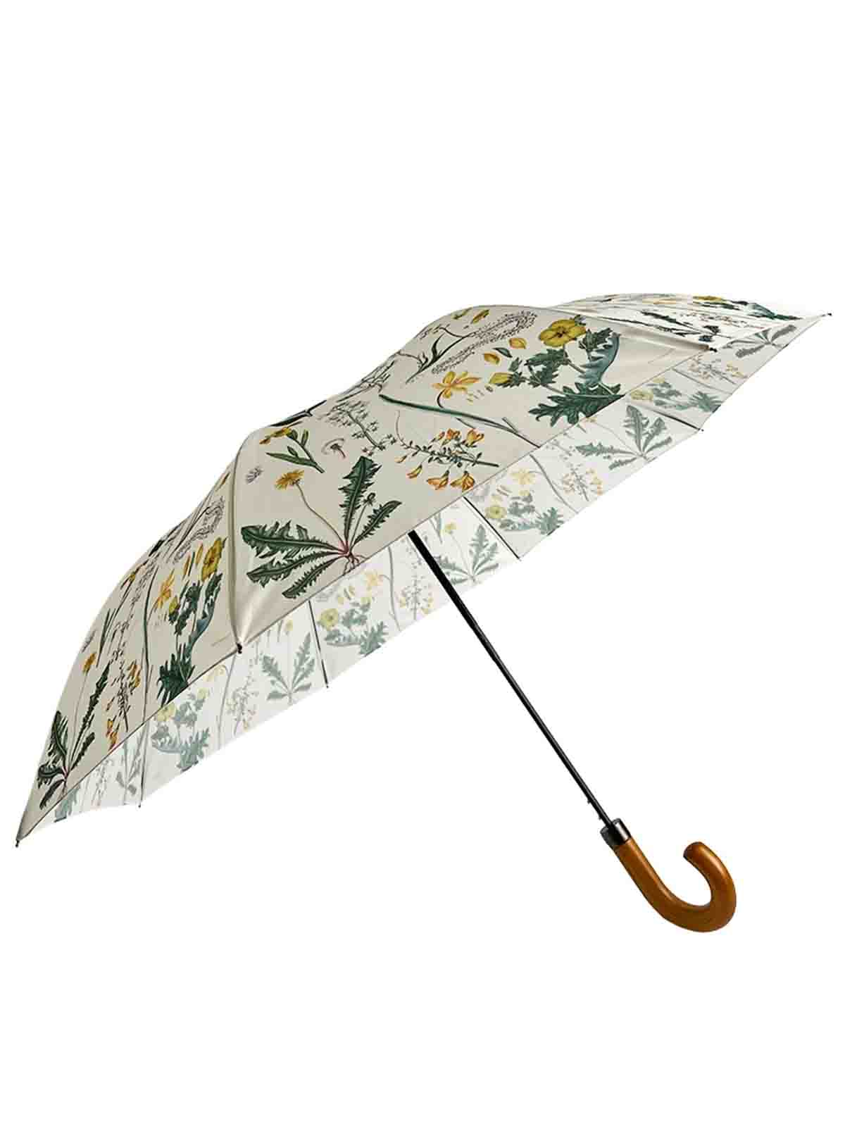 Alternative view of Umbrella - Yellow flora danica