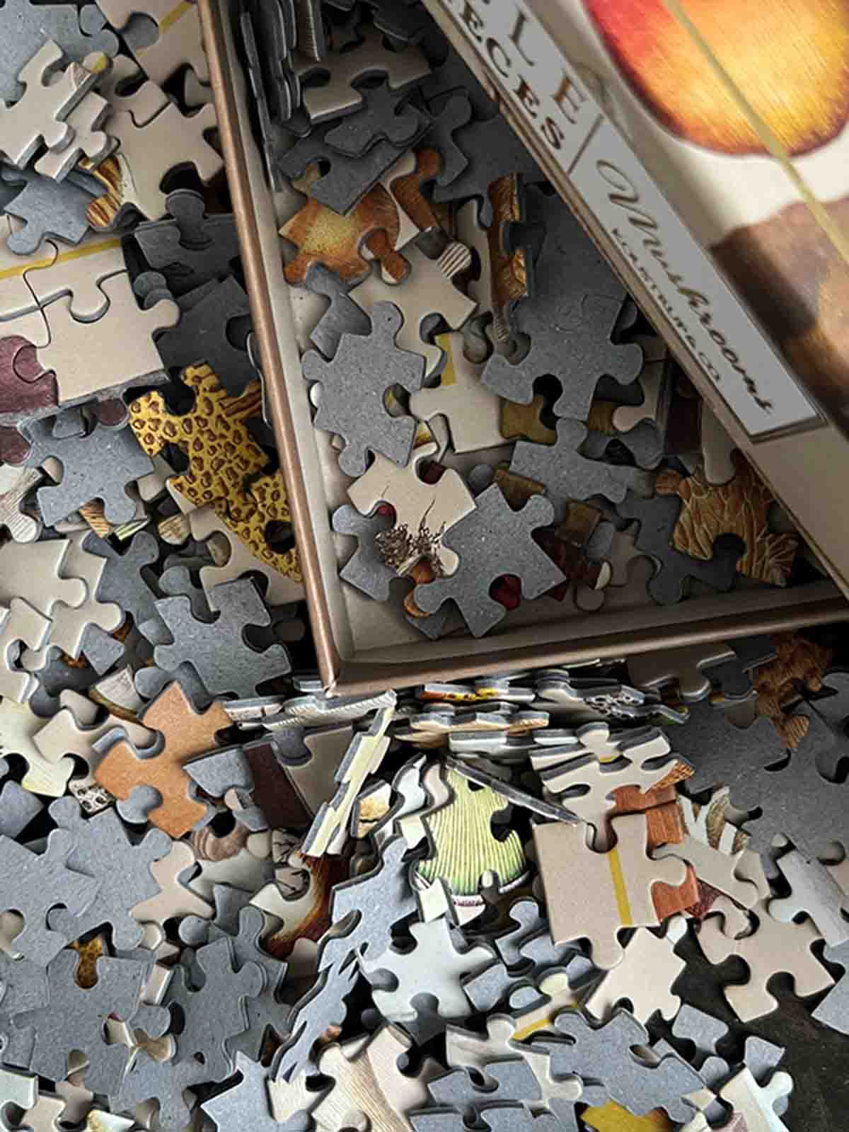 Puzzles 1000 pieces - Mushrooms - Picture 4