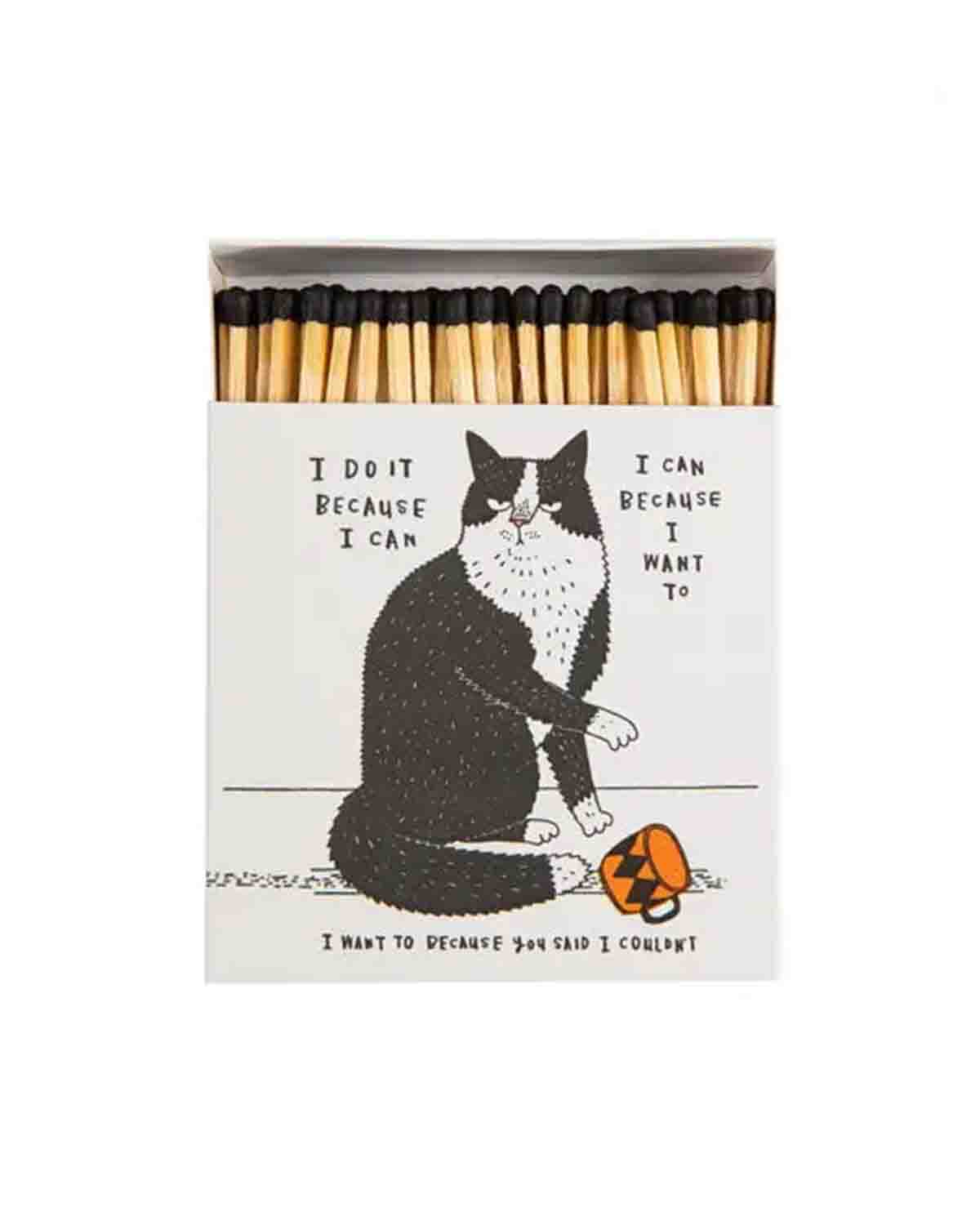 Archivist matches - "I do it because I can"