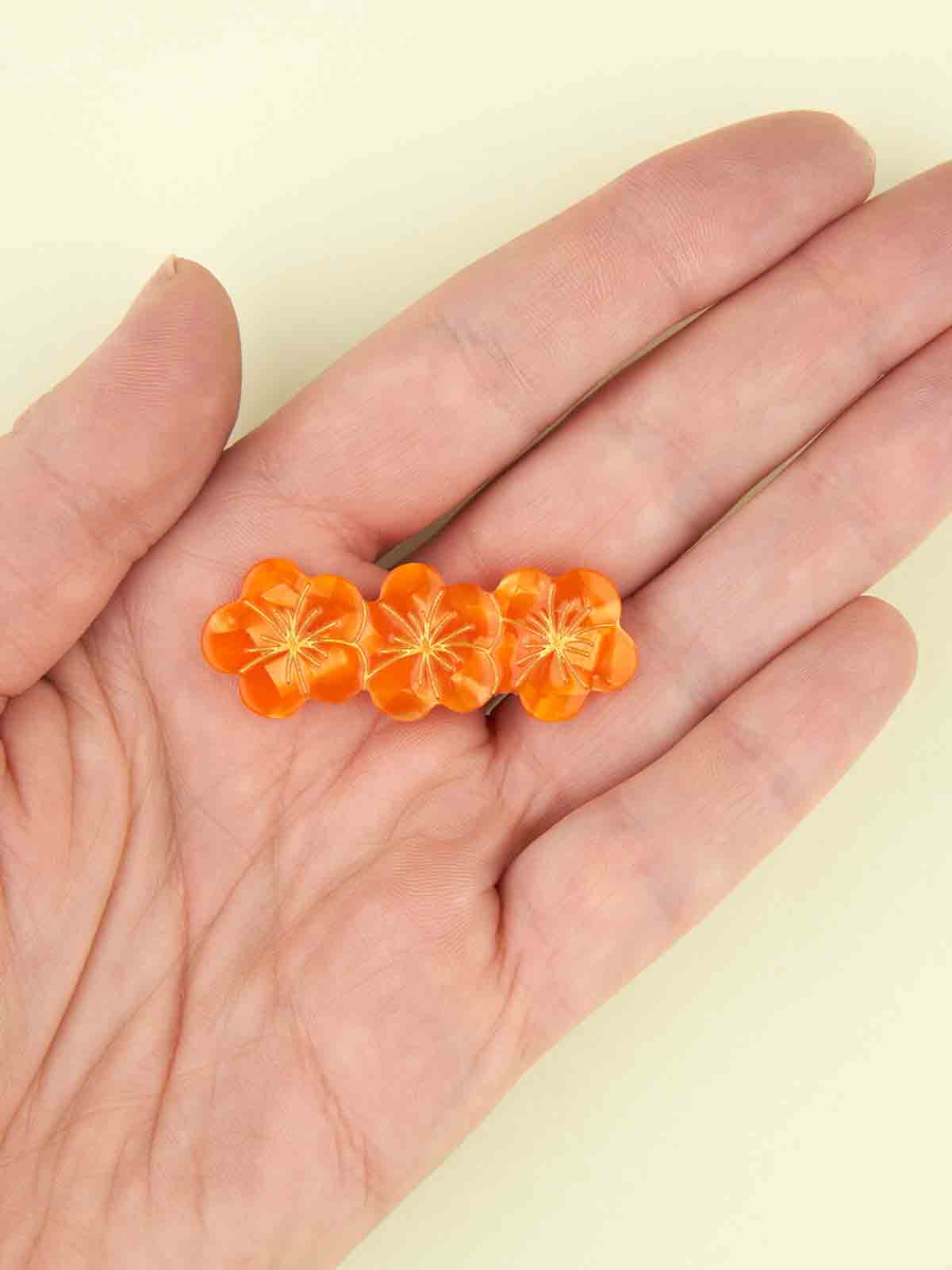 Hair clips - Plate holders