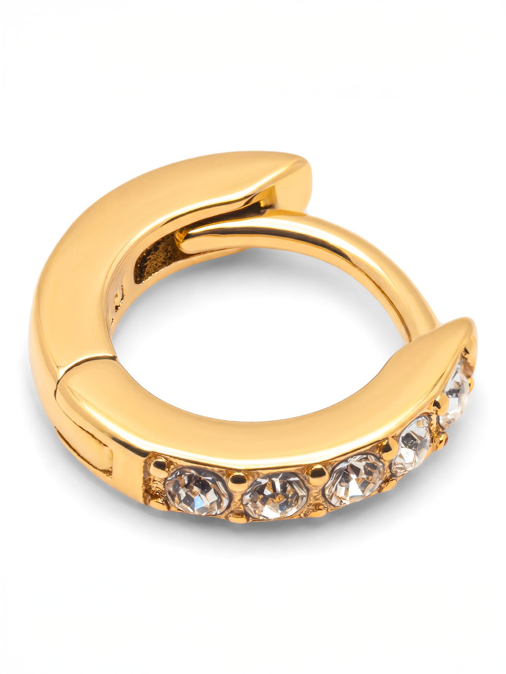 Earrings -