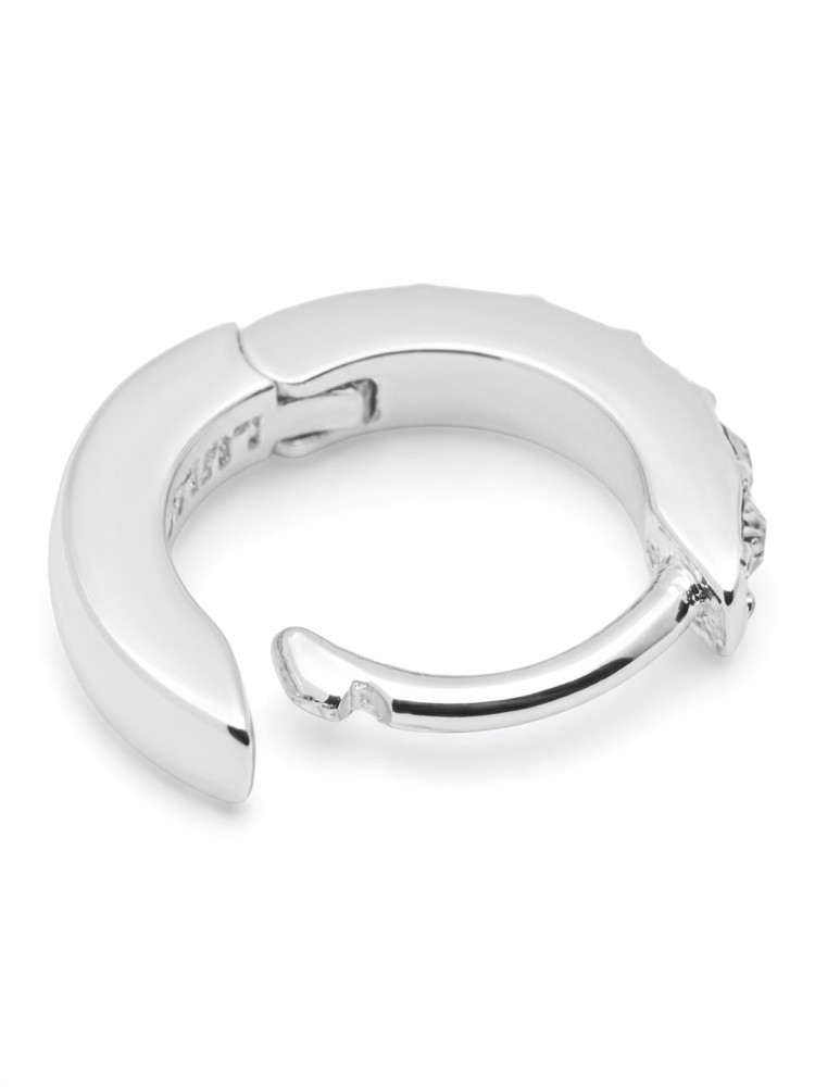 Earrings -