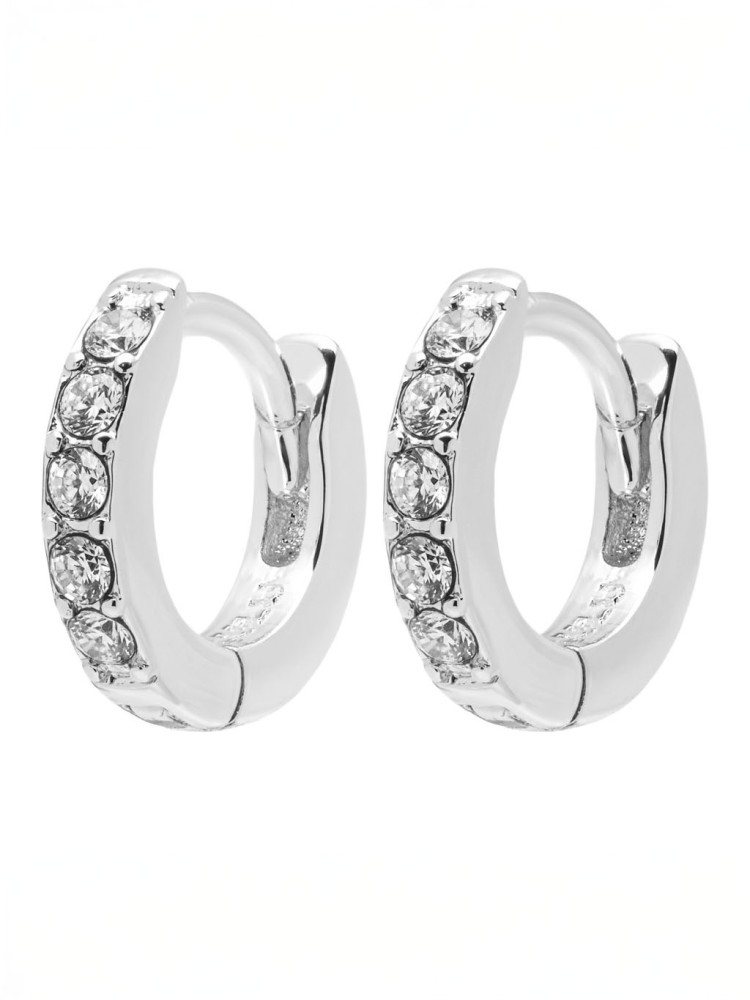 Earrings -
