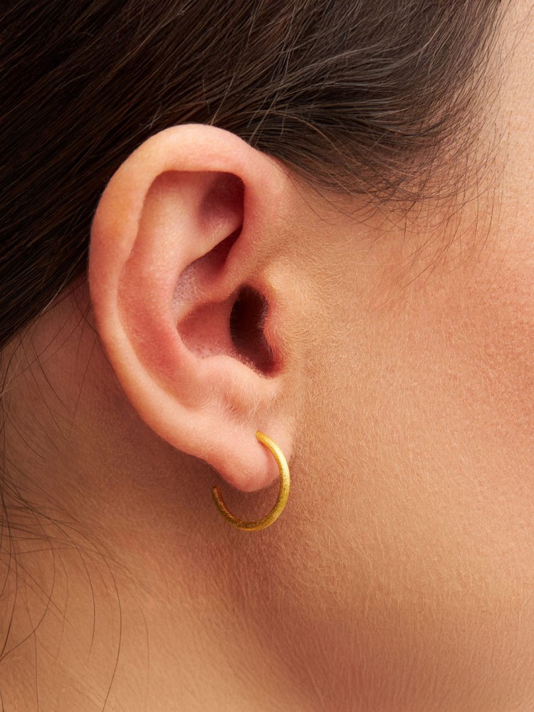Earrings -