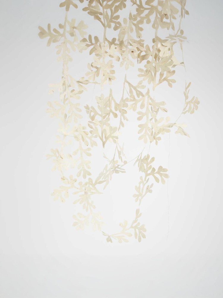 Guiding countries with paper "300 cm" - Foliage - Picture 2
