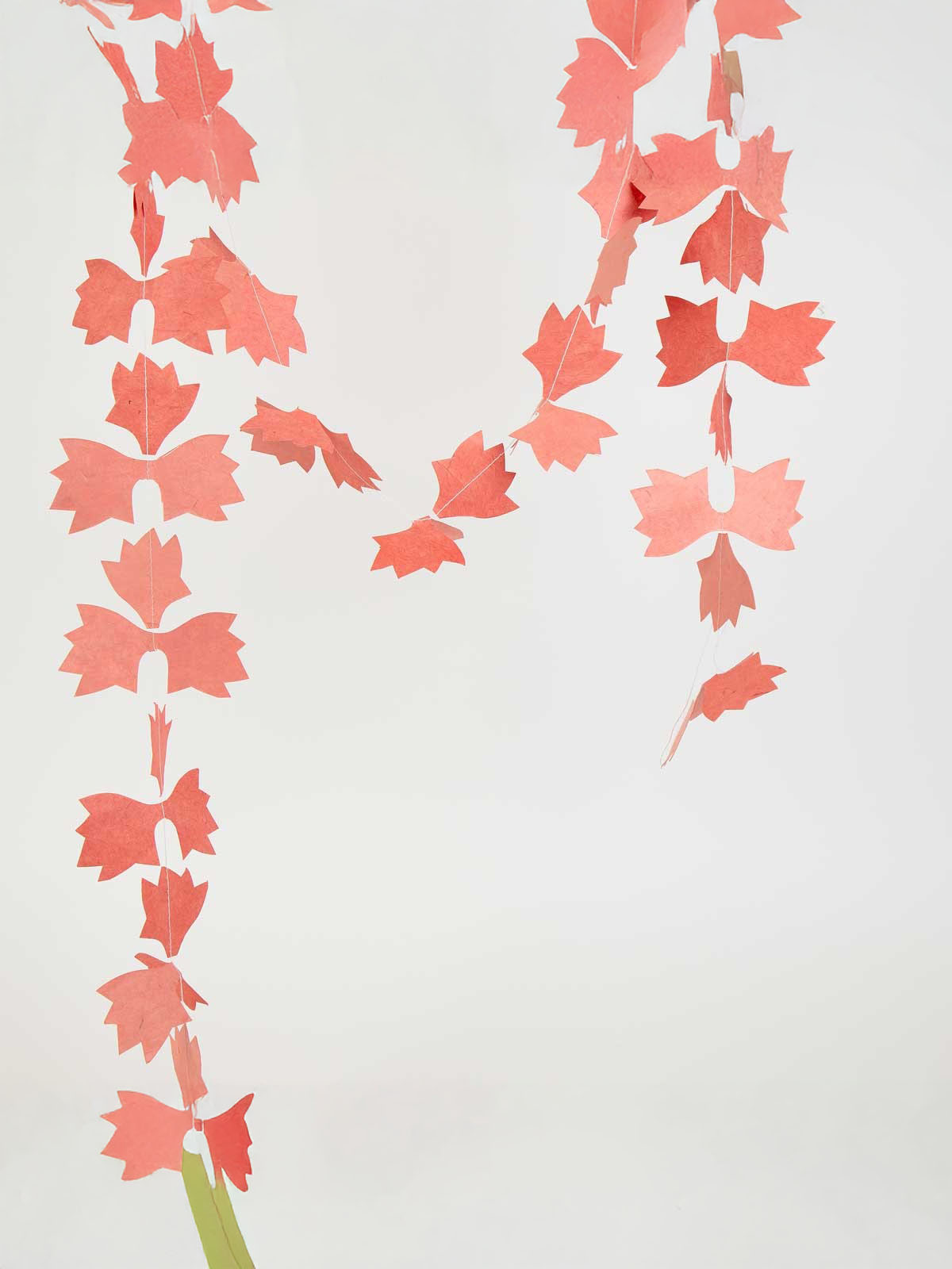 Curtains with paper - Maple