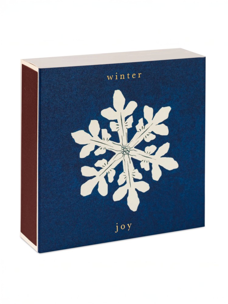 Archivist matches - Winter Joy - Picture 2